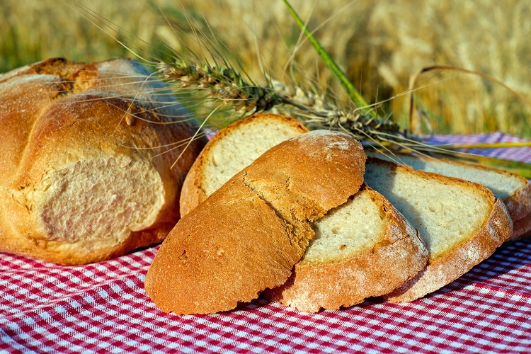 Fermentacija kruha